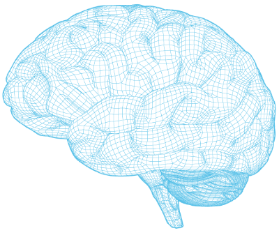 brain-graphic